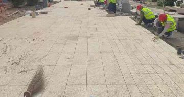 湛江黄金麻荔枝面地铺案例