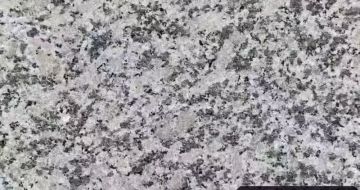 湛江 芙蓉白（芝麻白大花）火烧面