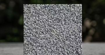 湛江 芝麻黑荔枝面