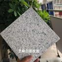 湛江 芝麻白荔枝面干挂