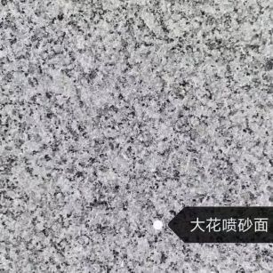 湛江 芙蓉白（芝麻白大花）荔枝面