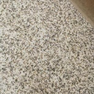 湛江 黄金麻中黄光面