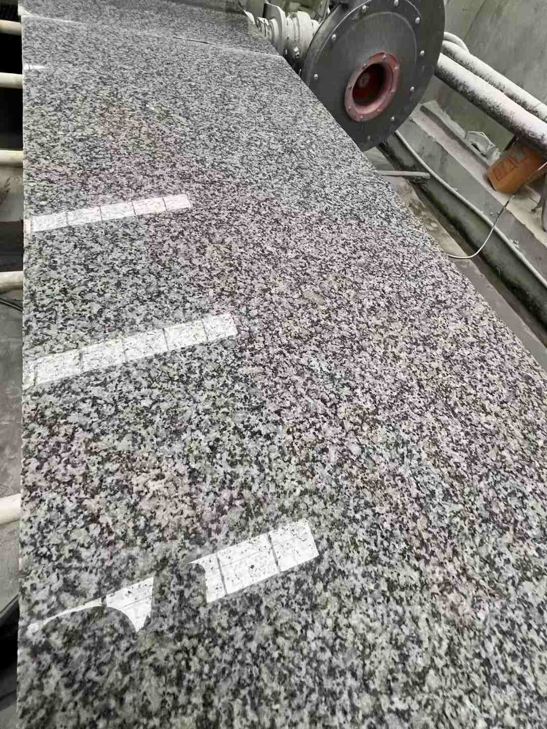 湛江 芙蓉白光面