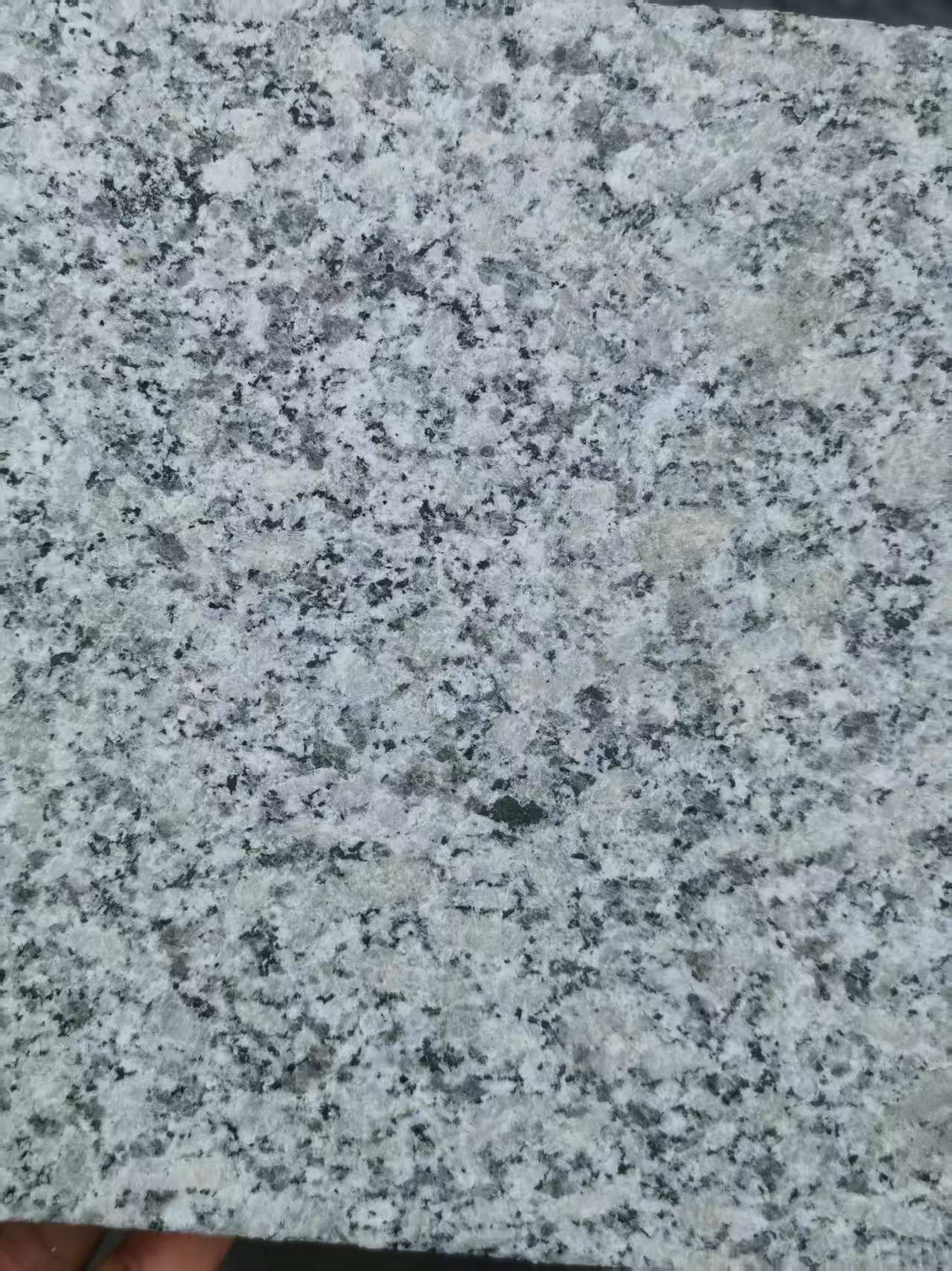 湛江 芙蓉白火烧面