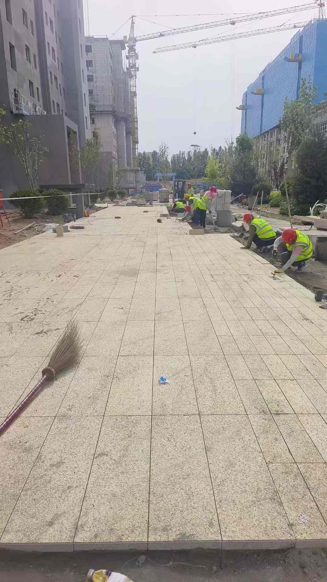 湛江黄金麻荔枝面地铺案例