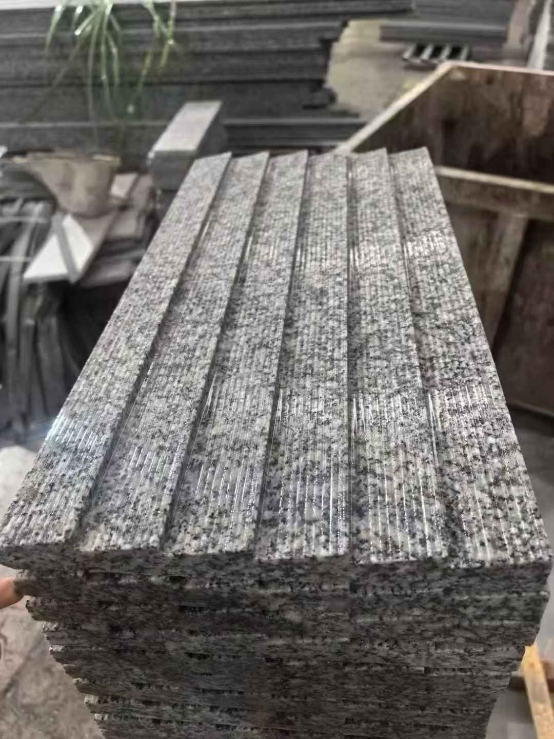 湛江 狼牙石