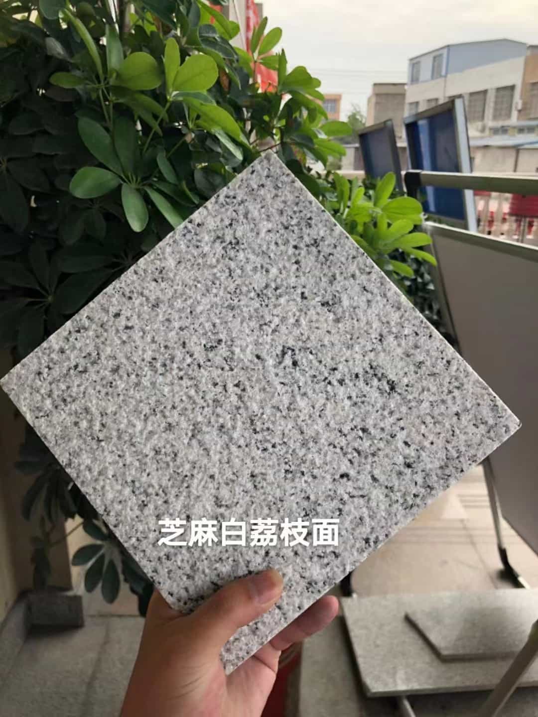 湛江 芝麻白荔枝面干挂
