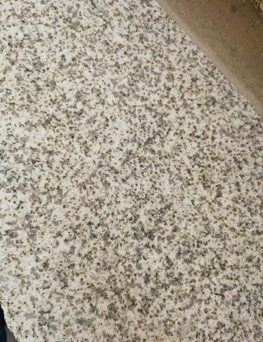 湛江 黄金麻中黄光面